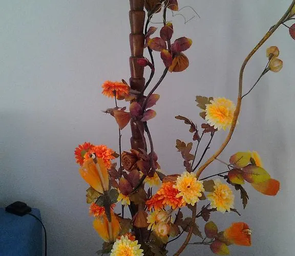 Casa Lilla * 贝拉焦